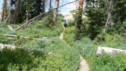 PICTURES/Alpine Pond Nature Trail - Cedar Breaks National Monument/t_Trail Shot1.JPG